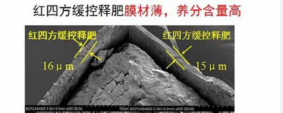 草莓视频官方网站缓释包膜材料更薄、养分更全