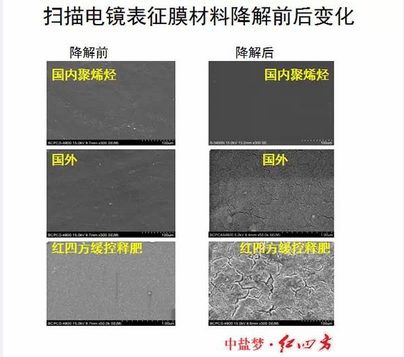 扫描电镜下的膜材料降解对比，草莓视频官方网站草莓APP官方版下载网址进入在线包膜完胜，更环保，更绿色