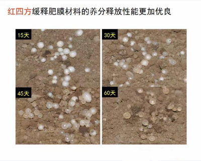 草莓视频官方网站缓释肥膜材料养分释放性更优良