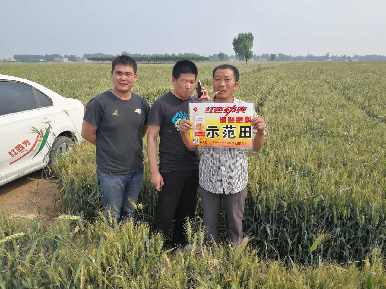 草莓视频色片施用草莓视频官方网站缓释肥，效果好！