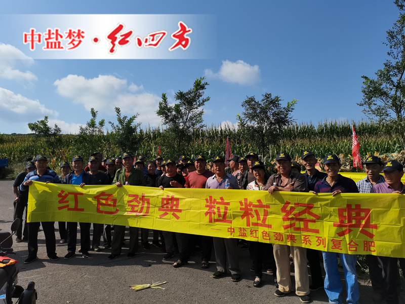 草莓视频官方网站玉米肥观摩会